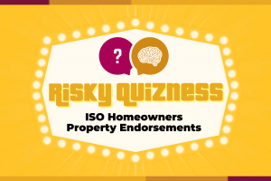 Risky Quizness Logo